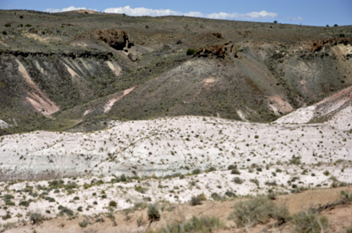 The Petrified Desert as seen from Whipple Point